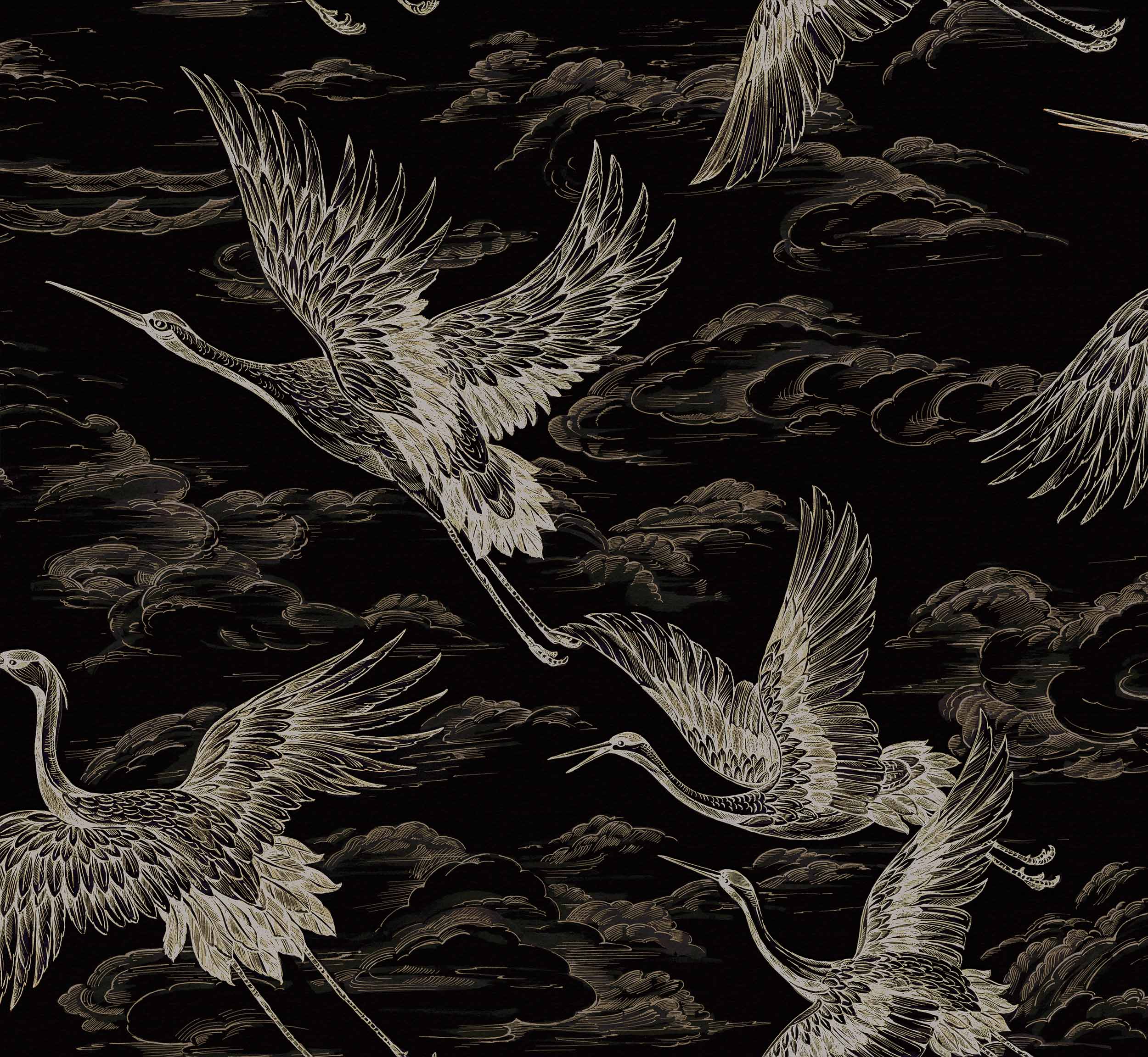 Imperial Ibis, Onyx, Coordonne 5mp / rola